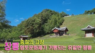 비운의 왕 조선왕조 6대 단종 능. 향토문화제가 거행되는 유일한 왕릉이라 하는군요.