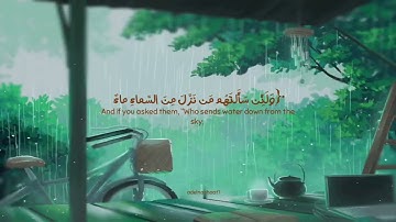 {ولئن سألتهم من نزل من السماء ماء} ¦تلاوة خاشعة
