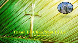 Thánh Lễ Chúa Nhật Lễ Lá. Ngày 29 tháng 3 năm 2026