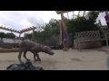 Winston the Weimaraner's First Swim
