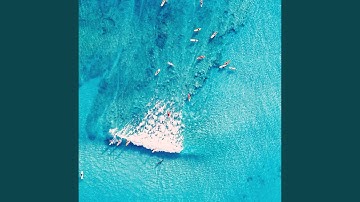 Glorious Backdrops for Summer