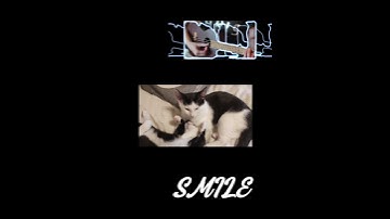 Thumbnail of Smile (Charlie Chaplin song). Cover by Tanja Envall #ukulele #smile #cover #bright tomorrow #cats