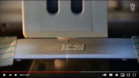 Shulamit Levenberg Bio printing