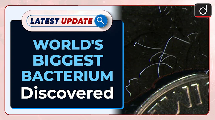 World's Biggest Bacterium Discovered: Latest update | Drishti IAS English - DayDayNews