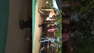 New dance bageli video