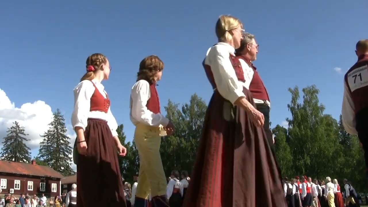 Hälsingehambon 2023 Stenegård Järvsö