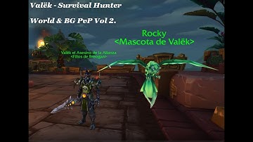 Valëk | WOW BFA | Solo 8.3 World PVP | Survival Hunter Vol.2