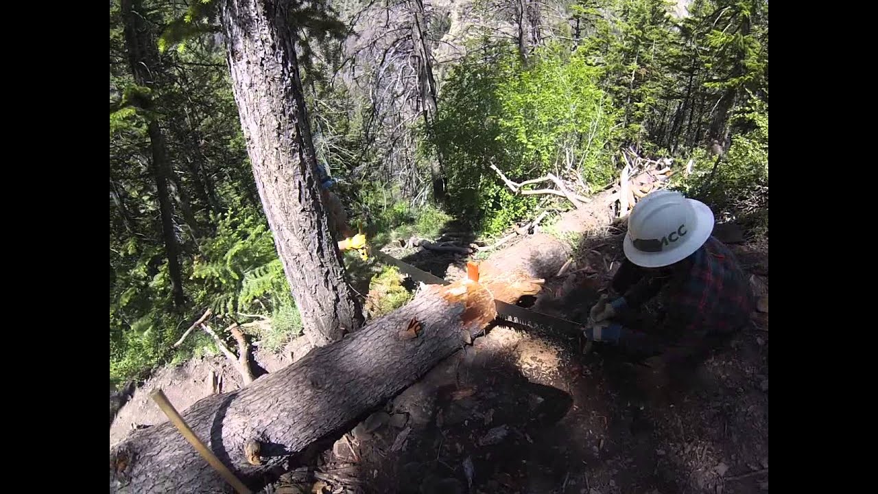 Crosscut with Brian and Erin