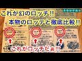 これが幻のロッチ‼︎ 本物のロッテとパチ物のロッチを徹底比較‼︎