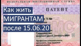 КАК ЖИТЬ МИГРАНТАМ ПОСЛЕ 15 ИЮНЯ 2020 ГОДА | УКАЗ № 392 от 15.06.2020