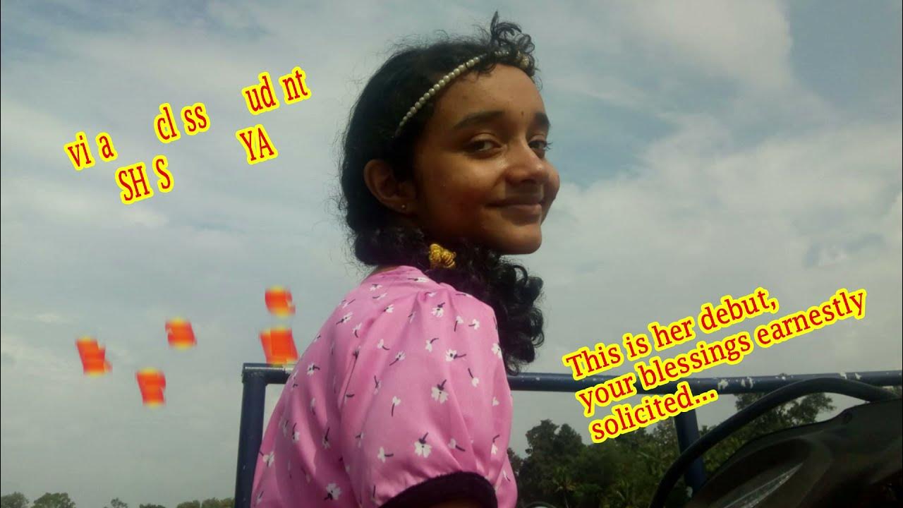 птички ночь. луна и птицы. птицы спят ночью. небо ночное с птицами.