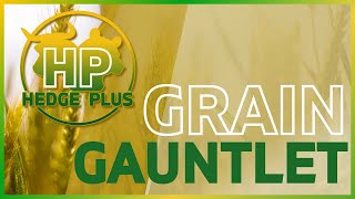 Grain Gauntlet 8-6-2025 - The Hedge Plus Weekly Grain Market Q&A
