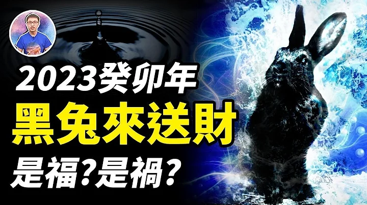 2023「黑兔年」來臨！60年輪一次到底會如何？是禍還是福？【地球旅館】 - 天天要聞