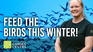 Garden Girl Quick Tip: Feed the Birds This Winter! ❄️🦜