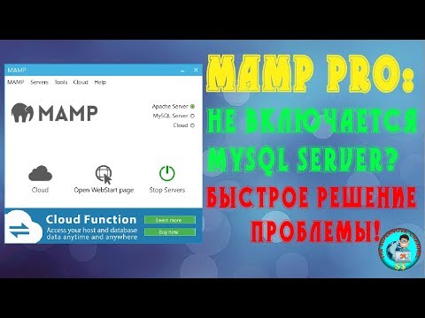 MAMP : что делать если перестал включаться MySQL Server? Решаем проблему!