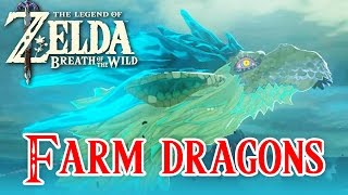 FARMER LES DRAGONS | Zelda Breath of the Wild