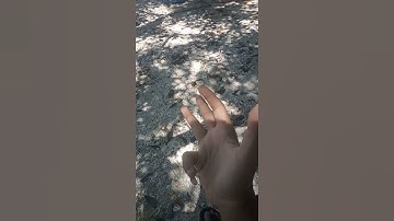 #butteredsidedown #meme