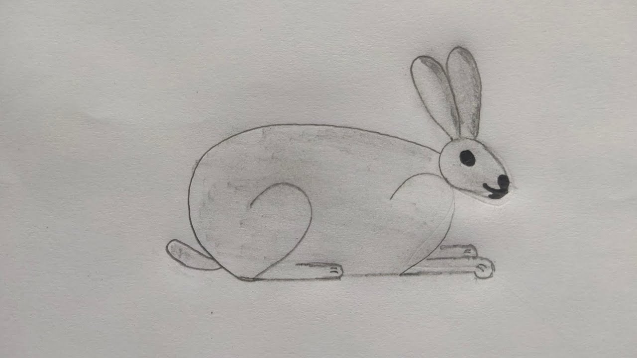 How To Draw Rabbit Drawing From 22 Numbre - YouTube
