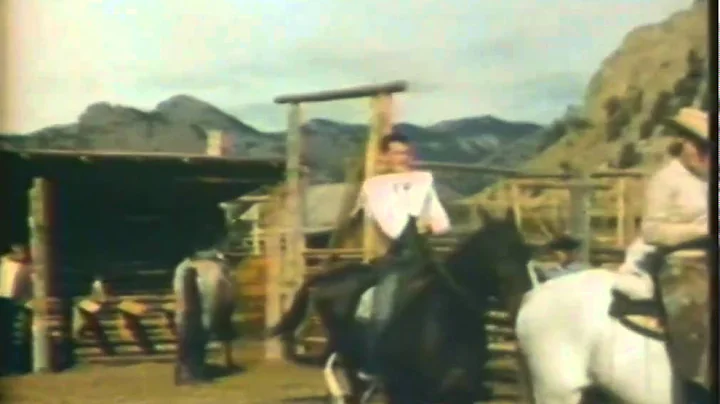 HP Video Viewer   22 02 2011, 19 36