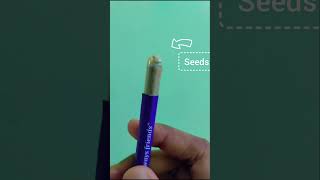 Biodegradable Seed Pen 🖊 #biodegradable #seed #ecofriendly #pen #stationary
