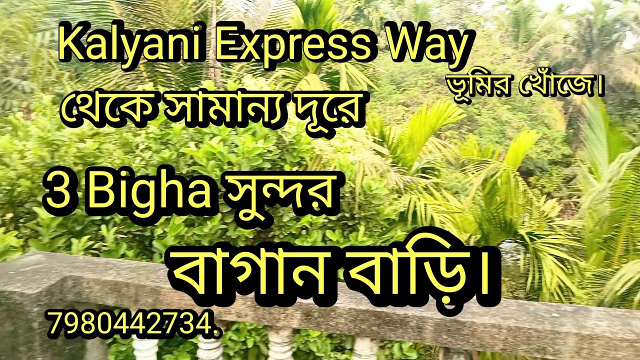 Garden House for Sale (কুতুবপুর, Kalyani Express Way টোল প্লাজার কাছে).