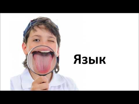 Загадки для детей.