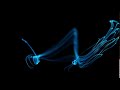 PARTICLE 1