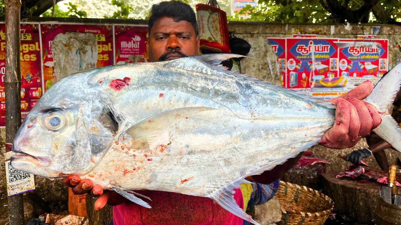 KASIMEDU 🔥 SPEED SELVAM | BIG DIAMOND TREVALLY FISH CUTTING VIDEO | FF CUTTING 🔪
