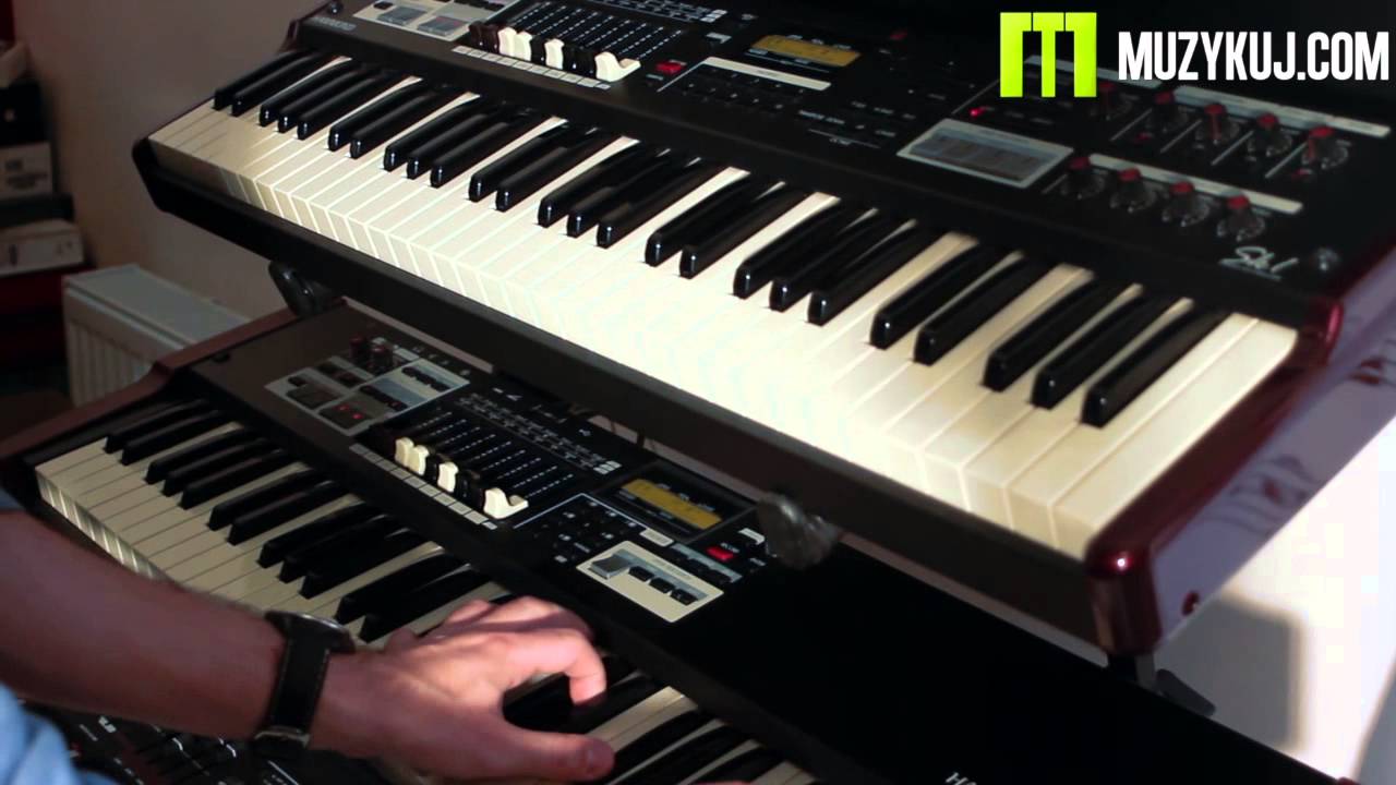 Hammond SK 1 61鍵 ハモンドオルガン ステージキーボード +ケース