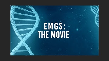 Hilde E. van Gijssel - EMGS: The Movie