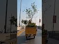 FLOWERS TRANSPORT | POV BIKE RIDE