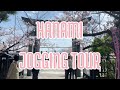 Join us on a Hanami Slow Jogging Tour in Fukuoka, Japan: a very unique, truly Japanese experience!