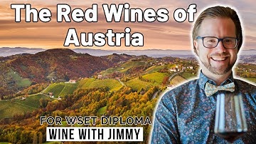 Exploring the red wines of Austria for WSET Level 4 (Diploma)