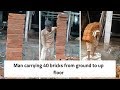 [Omg] Man carrying 40 bricks at a time - Smart Labor Work