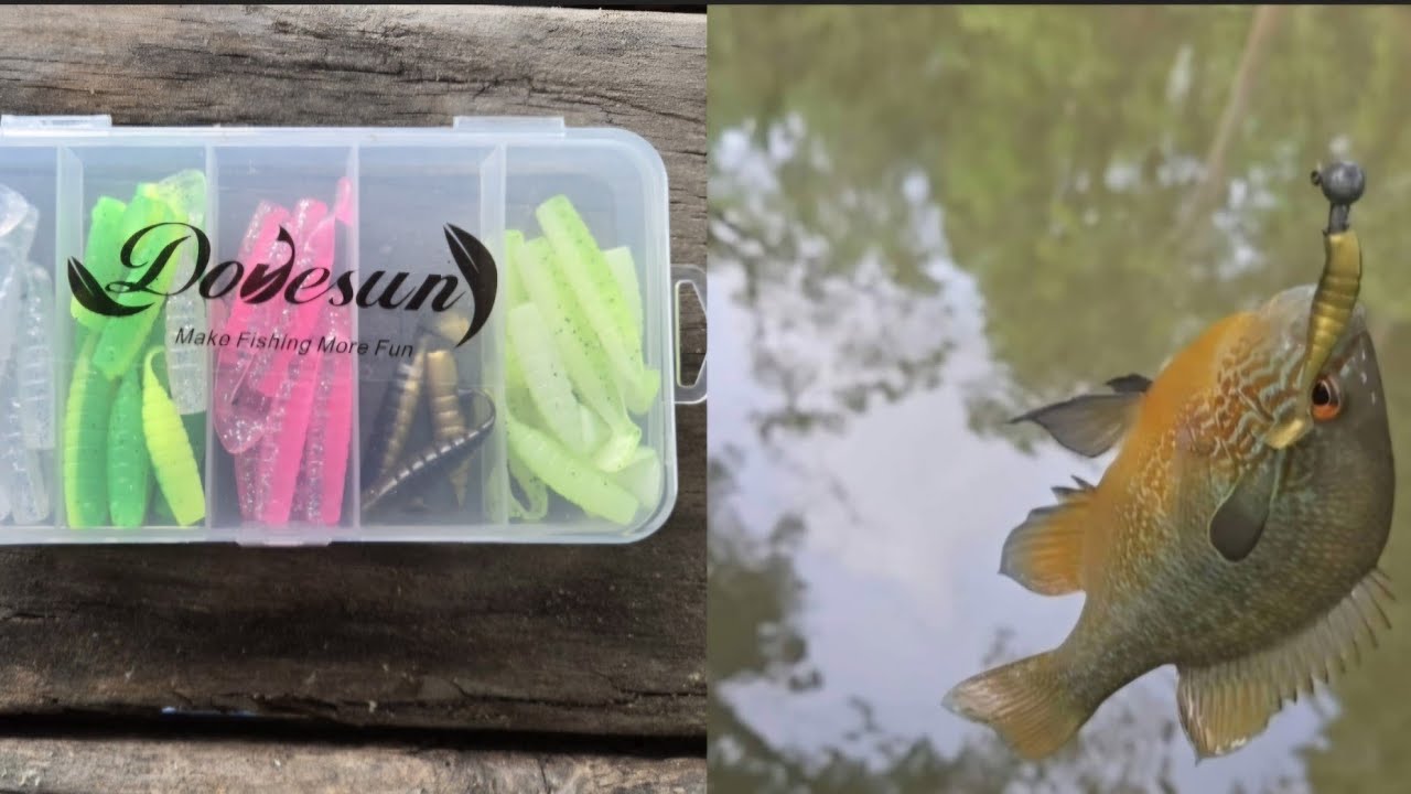 Dovesun Rattles Dovesun Paddletail Grub Review!!! - YouTube