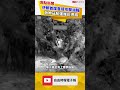 美軍連炸10夜！伊朗首度直接攻擊油輪 荷姆茲航運幾近停擺