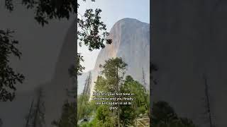 Beautiful Yosemite Tiktok Dreaminginthewild