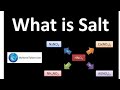 Definition of Salt//Chapter:02 //10th class chemistry. by adnan khan chemist.