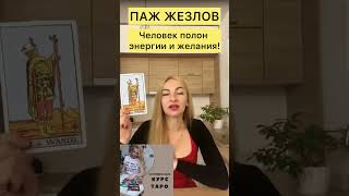 ПАЖ ЖЕЗЛОВ - всегда полон сил, страсти и энергии!! #уроктаро