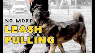 STOP LEASH Pulling in 3 Easy Steps  Even with a STRONG AKITA DOG