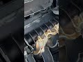 This Car Exploded In My Face