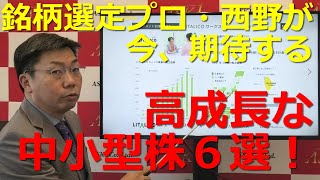 2021年4月16日「銘柄選定プロ・西野が今、期待する高成長な中小型株６選！」【朝倉慶の株式投資・株式相場解説】