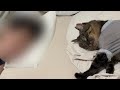お引越し先で夫と一緒に添い寝してる愛猫が可愛すぎました…