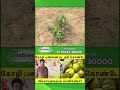 இன்றைய சூழலில் தானியங்கி நீர் பாசனம் மிக முக்கியமானது #shorts #mobitech #irrigationautomation