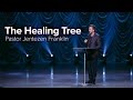 The Healing Tree | Jentezen Franklin