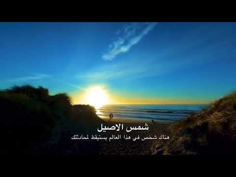 خواطر طارق حامد