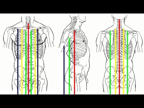 Видео: Анатомия, функция и схема нисходящей ветви левой колики - Карты тела