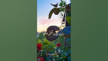 آيات من القرآن الكريم بصوت القارئ الشيخ سعد الغامدي #اكسبلور