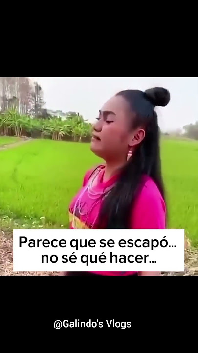 STEPAN YA NO REGRESO 🤣🤣🤣🤣🤣🤣 #youtubeshorts #comedia #funny #funnyshorts #shorts #viralshorts