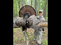 Alabama April Fools Turkey!! Lonely Hen Sweet Talking a Gobbler!!! (4-1-23)